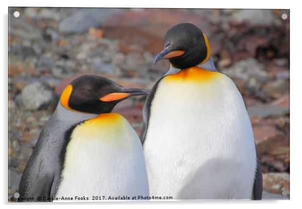 King Penguins Acrylic by Carole-Anne Fooks
