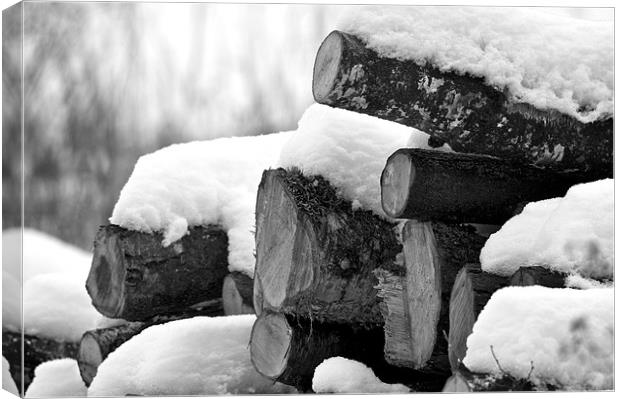 Winter Logs Canvas Print by Robert Geldard