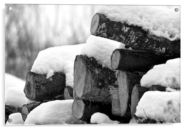 Winter Logs Acrylic by Robert Geldard