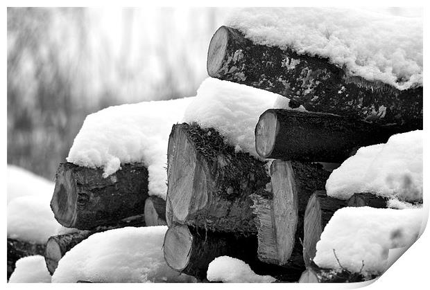 Winter Logs Print by Robert Geldard
