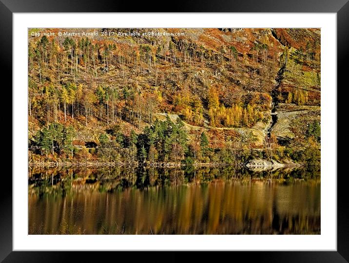 Autumn Tree Reflections Framed Mounted Print by Martyn Arnold