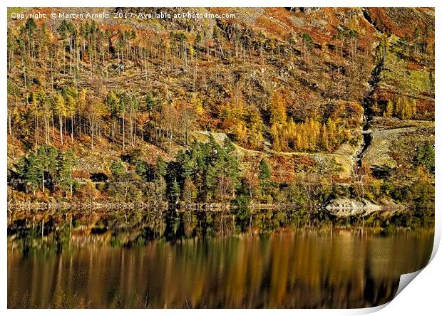 Autumn Tree Reflections Print by Martyn Arnold