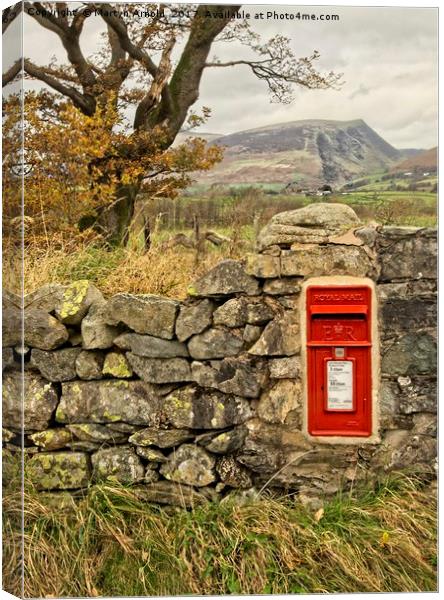 Country Lane Postbox Canvas Print by Martyn Arnold