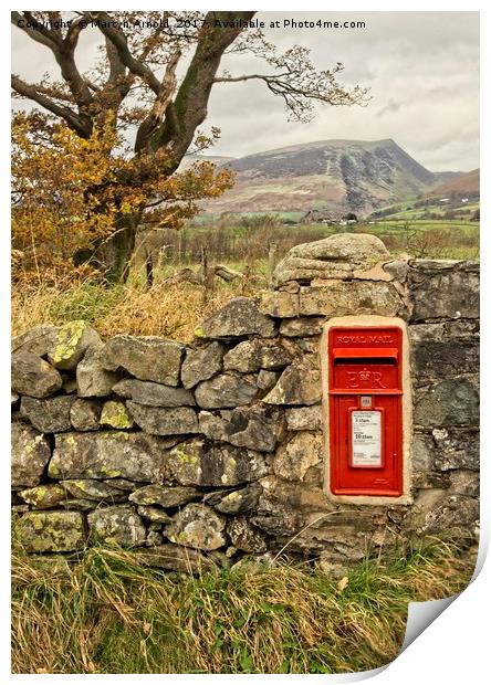 Country Lane Postbox Print by Martyn Arnold