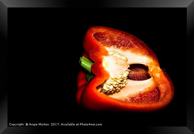 The Naked Capsicum Framed Print by Angie Morton