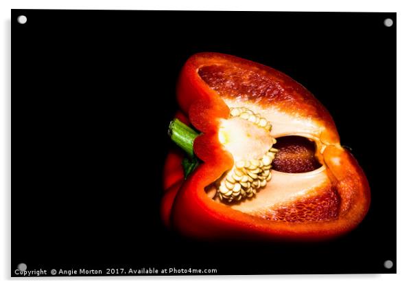 The Naked Capsicum Acrylic by Angie Morton