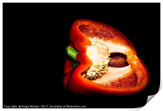 The Naked Capsicum Print by Angie Morton