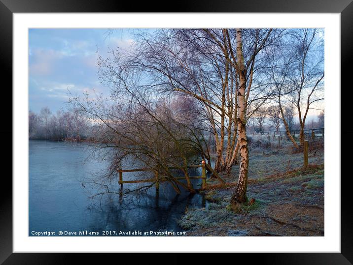 Horseshoe Lake in Winter  Framed Mounted Print by Dave Williams