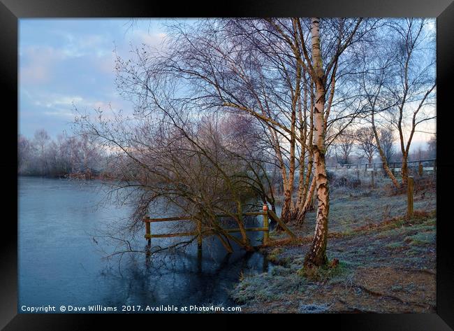 Horseshoe Lake in Winter  Framed Print by Dave Williams