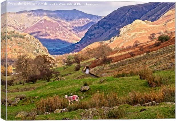 Lake District Fells Canvas Print by Martyn Arnold