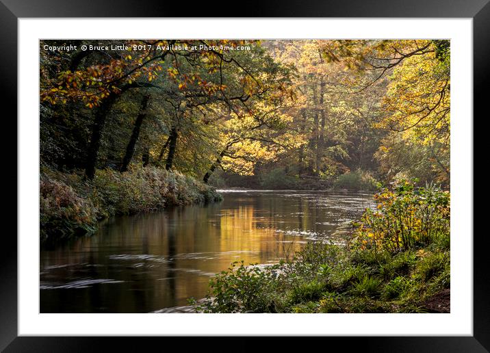 Autumnal Hembury woods, Dartmoor Framed Mounted Print by Bruce Little
