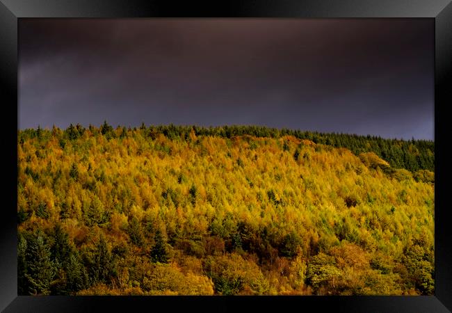 Autumn in Cwmcarn Framed Print by Andrew Richards
