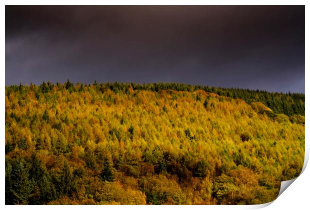 Autumn in Cwmcarn Print by Andrew Richards