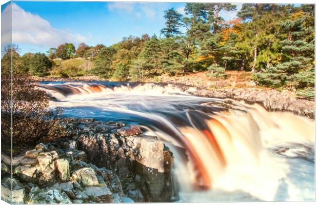 Low Force waterfall Canvas Print by Alf Damp