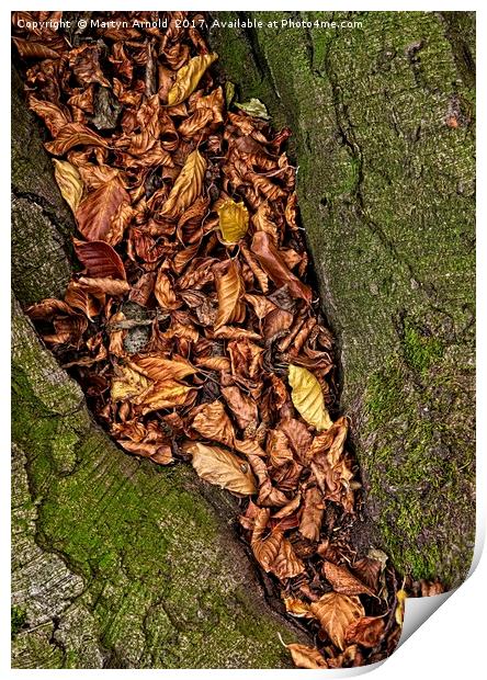 Autumn Leaves Print by Martyn Arnold