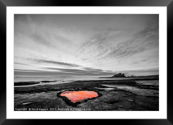 Bamburgh Northumberland Heart shaped rock pool Framed Mounted Print by david siggens