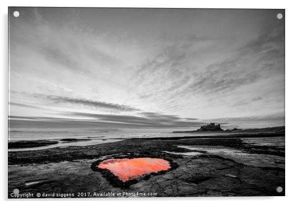 Bamburgh Northumberland Heart shaped rock pool Acrylic by david siggens