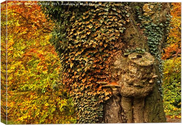 Autumn Colours Canvas Print by Martyn Arnold