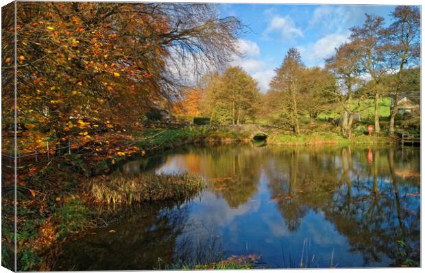 Bentley Brook Pond In Autumn                     Canvas Print by Darren Galpin