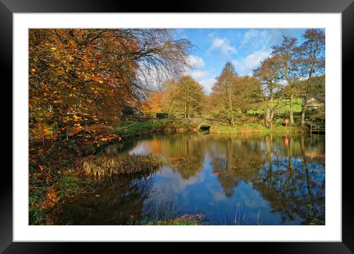 Bentley Brook Pond In Autumn                     Framed Mounted Print by Darren Galpin