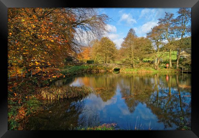 Bentley Brook Pond In Autumn                     Framed Print by Darren Galpin