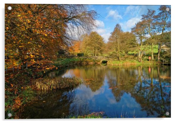 Bentley Brook Pond In Autumn                     Acrylic by Darren Galpin