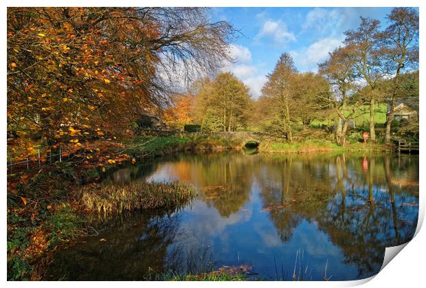 Bentley Brook Pond In Autumn                     Print by Darren Galpin