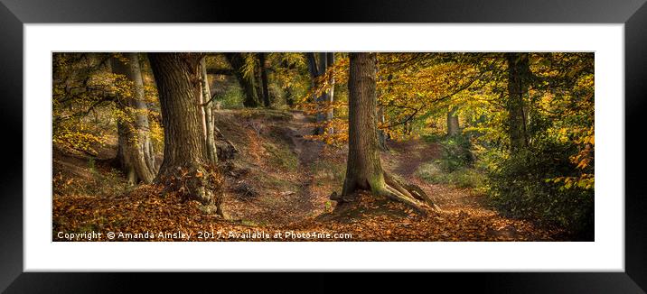 Enchanting Autumn Woods Framed Mounted Print by AMANDA AINSLEY