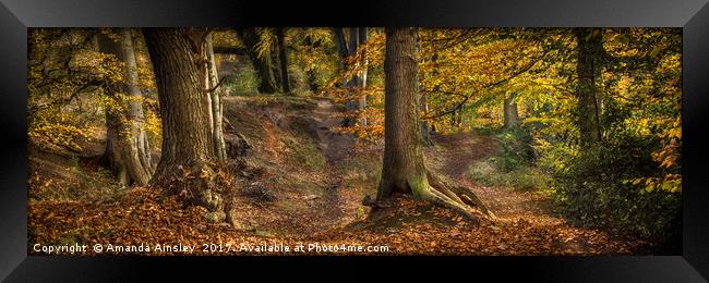 Enchanting Autumn Woods Framed Print by AMANDA AINSLEY