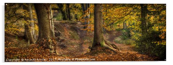 Enchanting Autumn Woods Acrylic by AMANDA AINSLEY