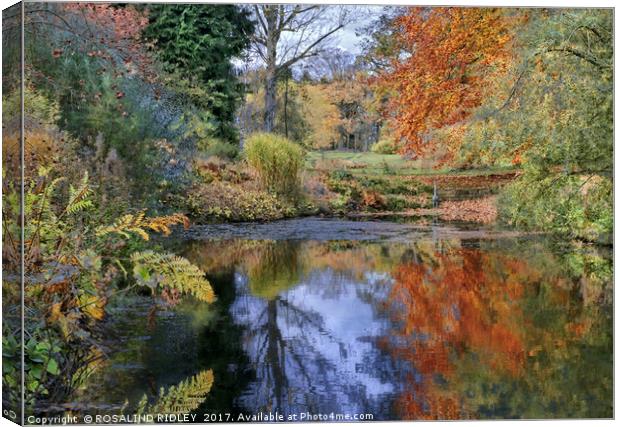"Autumn reflections at Thorp Perrow lake" Canvas Print by ROS RIDLEY