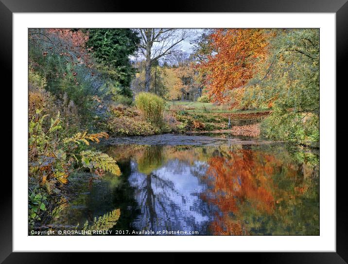 "Autumn reflections at Thorp Perrow lake" Framed Mounted Print by ROS RIDLEY