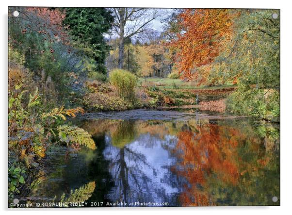 "Autumn reflections at Thorp Perrow lake" Acrylic by ROS RIDLEY