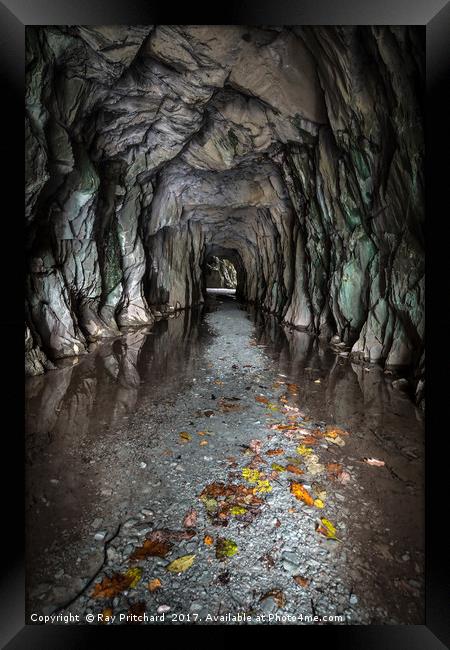 Entrance to Cathedral Cavern Framed Print by Ray Pritchard