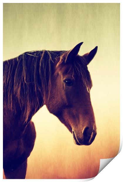 Horses romance Print by Tanja Riedel