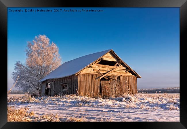 Cold Morning On The Winter Fields Framed Print by Jukka Heinovirta