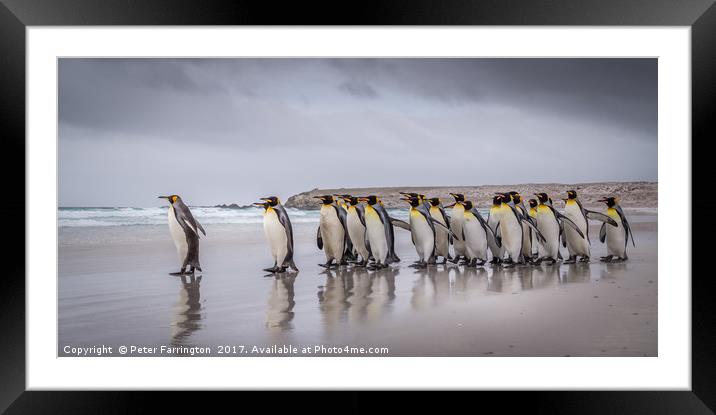 They Keep Marching On........ Framed Mounted Print by Peter Farrington