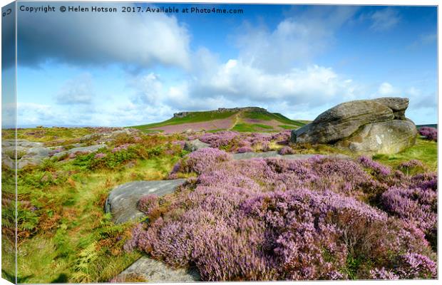 Heather at Carl Wark Canvas Print by Helen Hotson