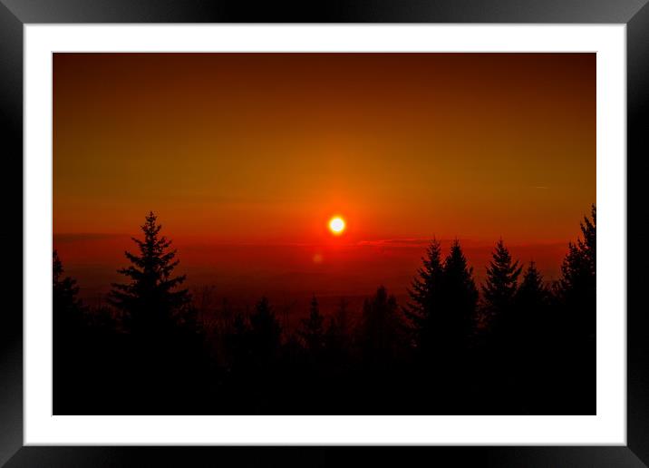 Sunset over forest Framed Mounted Print by Sergey Fedoskin