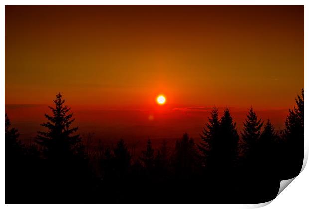 Sunset over forest Print by Sergey Fedoskin