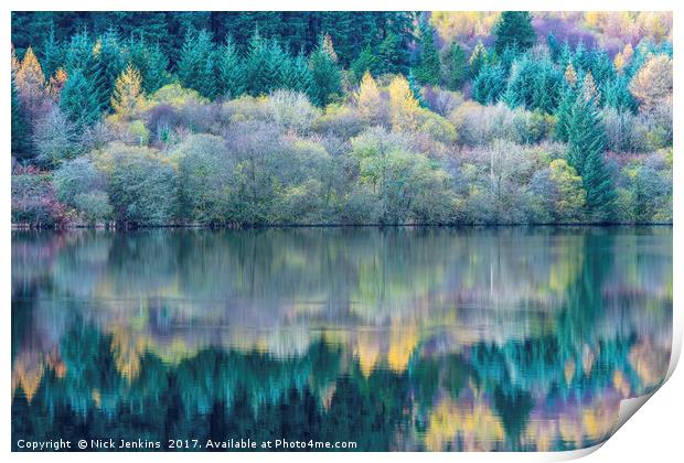 Tree reflections Llwyn Onn Reservoir Brecon Beacon Print by Nick Jenkins