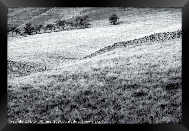 Derbyshire Fields Framed Print by Martyn Williams