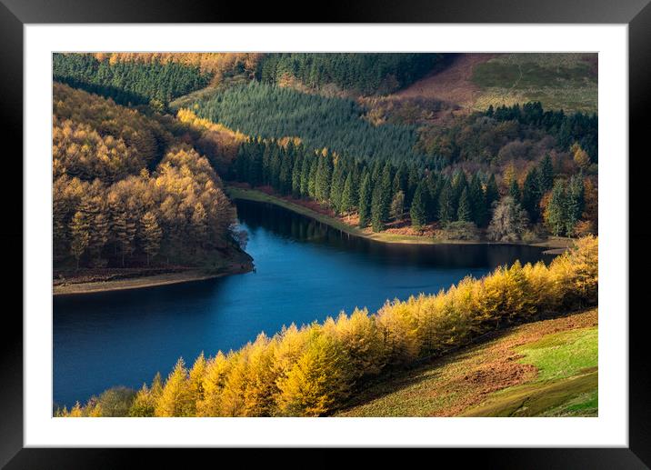 Vivid autumn colour at Derwent reservoir Framed Mounted Print by Andrew Kearton