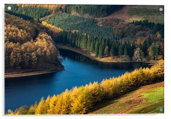 Vivid autumn colour at Derwent reservoir Acrylic by Andrew Kearton