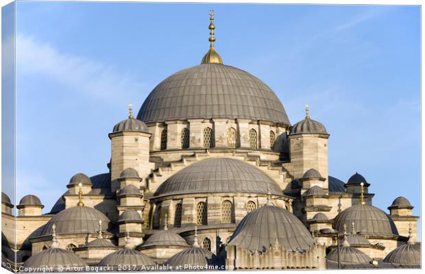 New Mosque Domes in Istanbul Canvas Print by Artur Bogacki