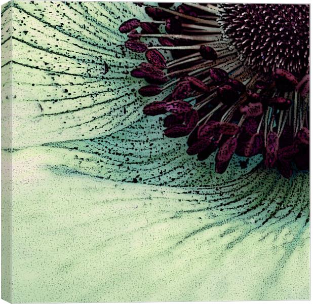 pollen and petals Canvas Print by Heather Newton