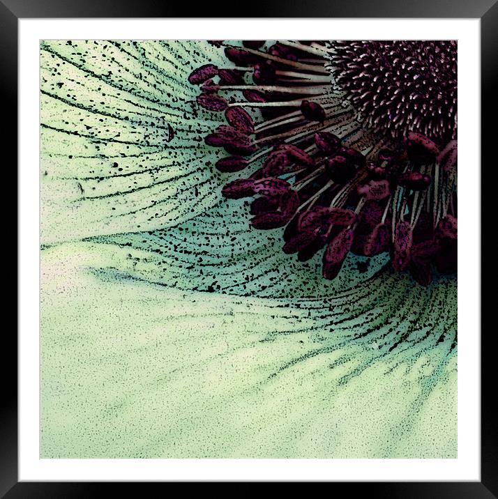 pollen and petals Framed Mounted Print by Heather Newton
