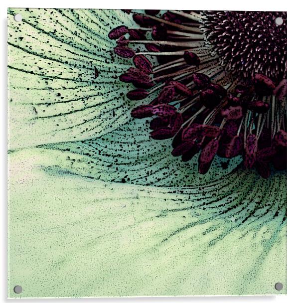 pollen and petals Acrylic by Heather Newton