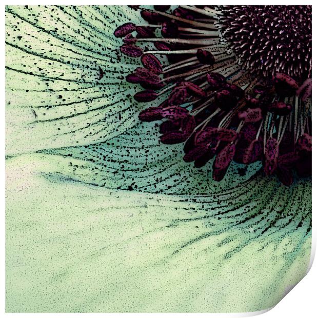 pollen and petals Print by Heather Newton