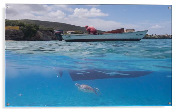   Curacao Views - Turtles and balls of fish at Wes Acrylic by Gail Johnson